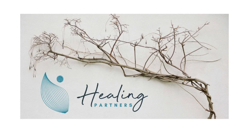 HP and wisteria 1024x577