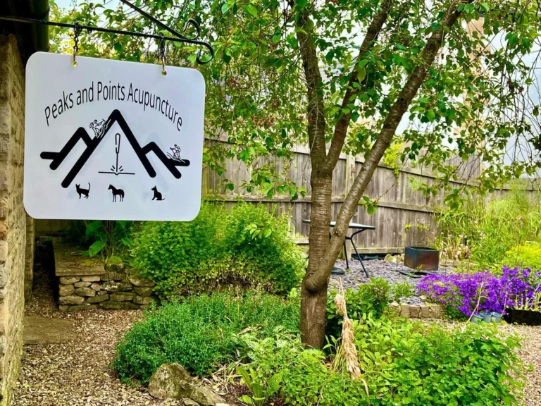 PeaksandPointsgardensign 768x576