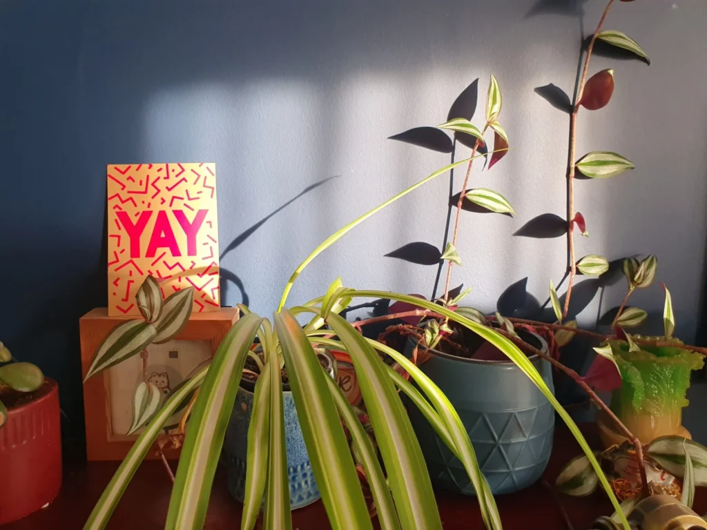 20231115 084817 1 1024x768