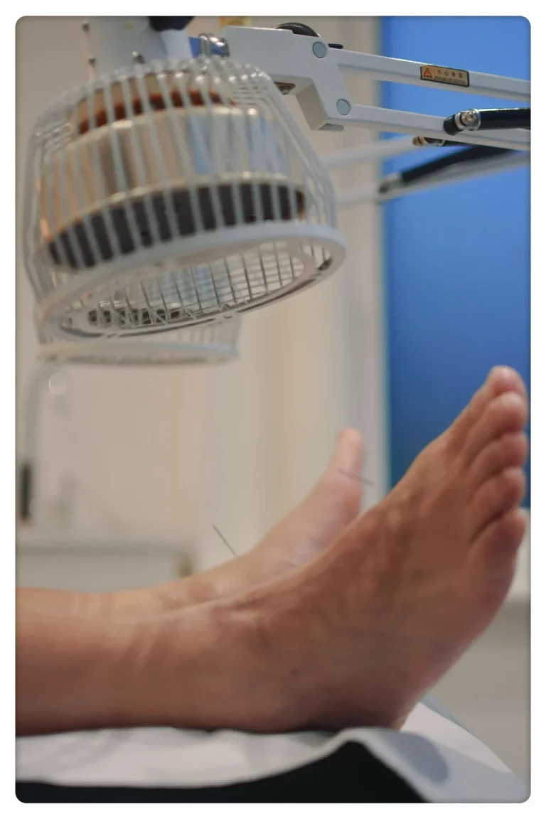 471170823 1147142874086308 2041859731706753709 n 768x1152