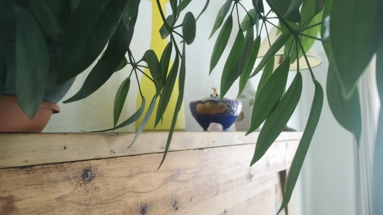 16727449491594898198 768x432