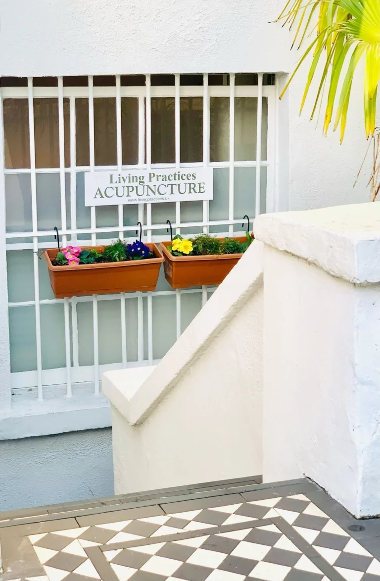 f27cc8d5 fe79 42c7 bac9 2c88ef322ac4 copy 768x1173