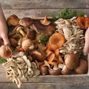 Recording: Mushroom Nutrition in TCM & Acupuncture