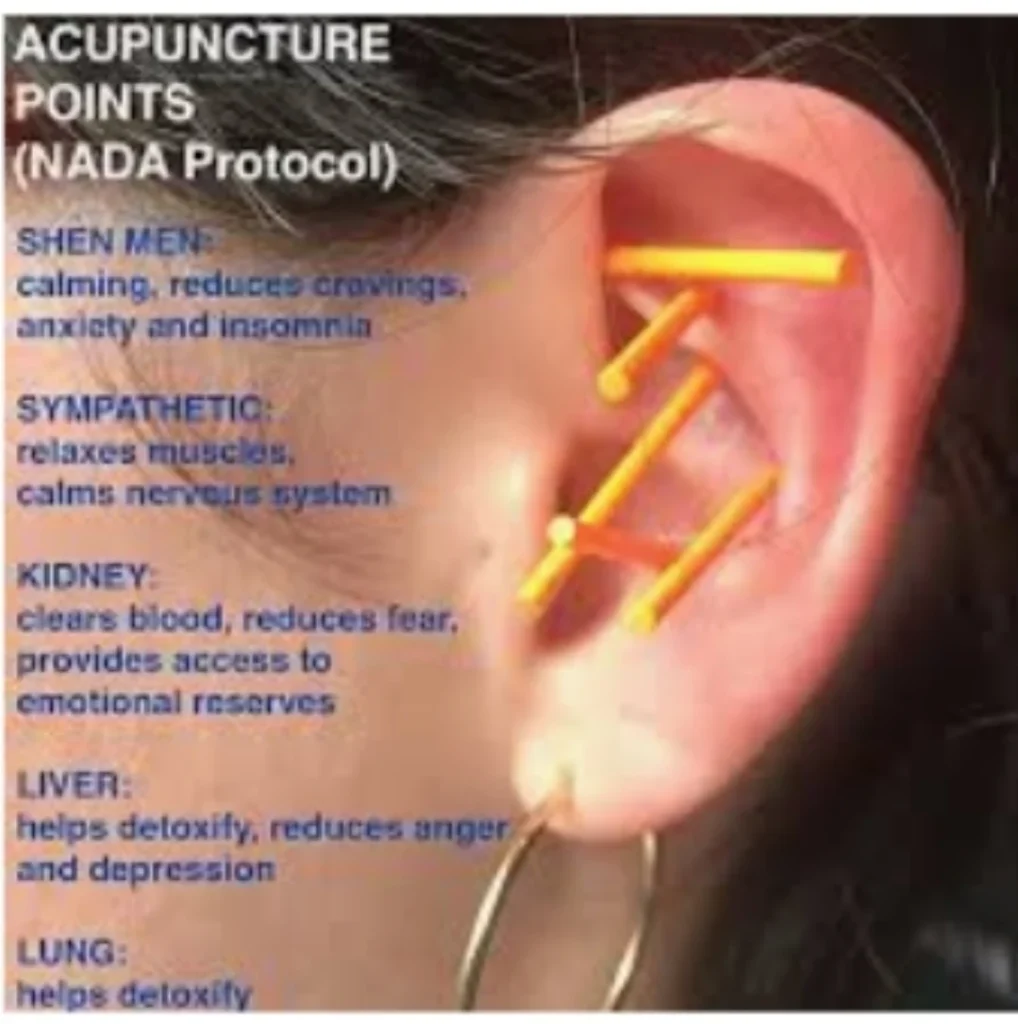 IMG 20241029 211936 1018x1024